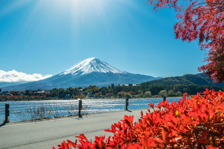 Fastest Tokyo Transfers to Mt. Fuji: Trains vs. Buses