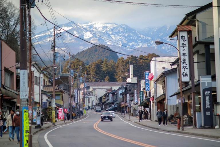 Tokyo to Nikko Transfer: Trains, Buses, and Taxis Compared