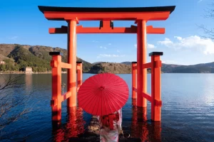 Tokyo Transfer Apps: Tools to Simplify Your Journey to Hakone