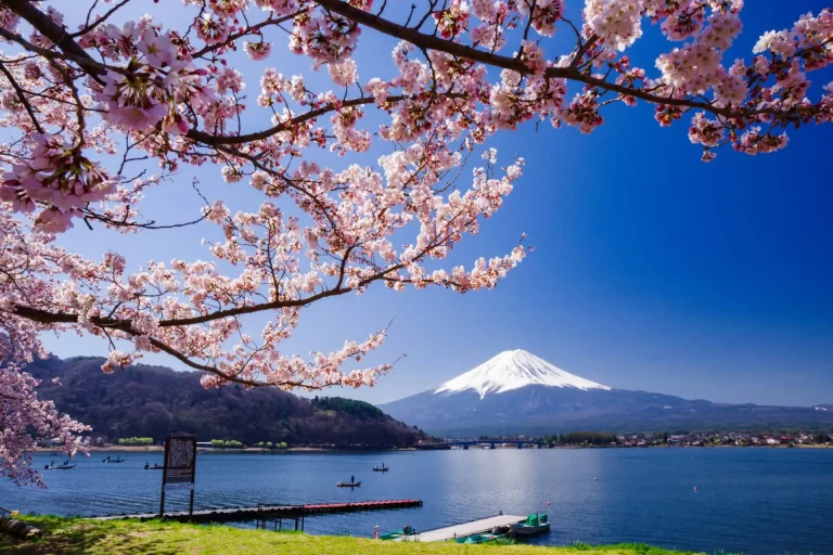 Tokyo to Lake Kawaguchiko Transfer: Seasonal Tips and Routes