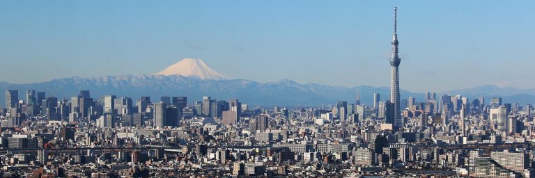 Tokyo Transfer Passes: Are They Worth It for Day Trips?